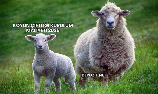 Koyun Çiftliği Kurulum Maliyeti 2025