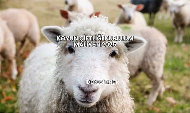 Koyun Çiftliği Kurulum Maliyeti 2025