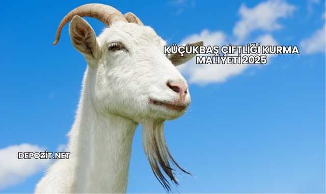 Küçükbaş Çiftliği Kurma Maliyeti 2025