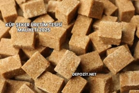 Küp Şeker Üretim Tesisi Maliyeti 2025