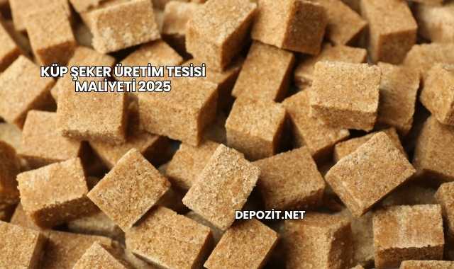 Küp Şeker Üretim Tesisi Maliyeti 2025