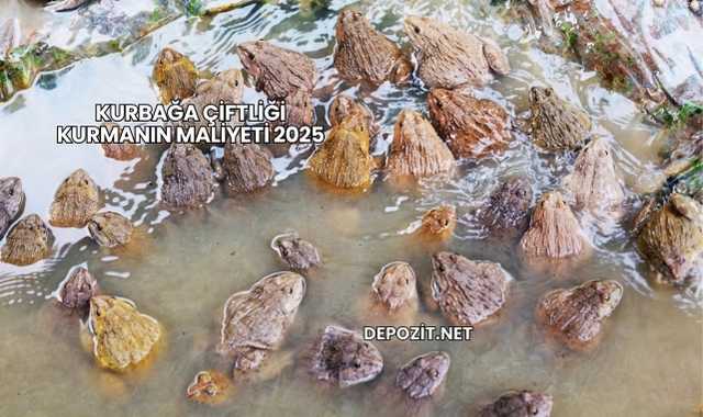 Kurbağa Çiftliği Kurmanın Maliyeti 2025