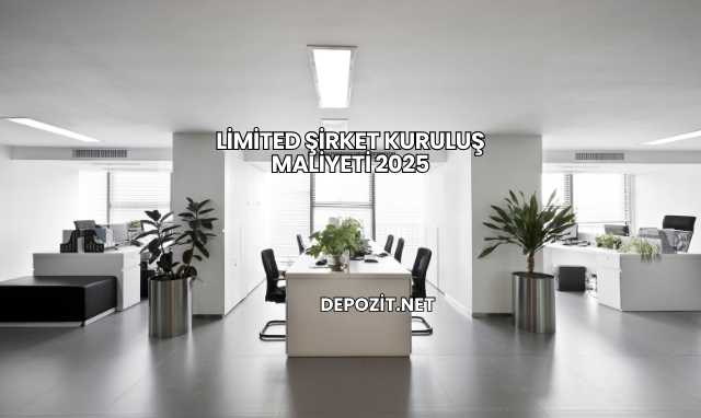 Limited Şirket Kuruluş Maliyeti 2025