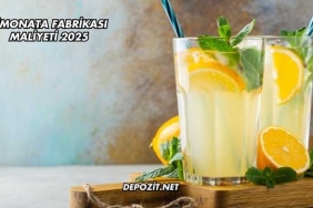 Limonata Fabrikası Maliyeti 2025