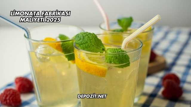 Limonata Fabrikası Maliyeti 2025