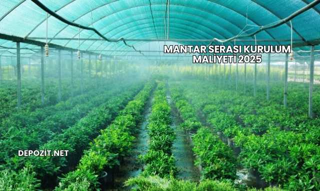 Mantar Serası Kurulum Maliyeti 2025