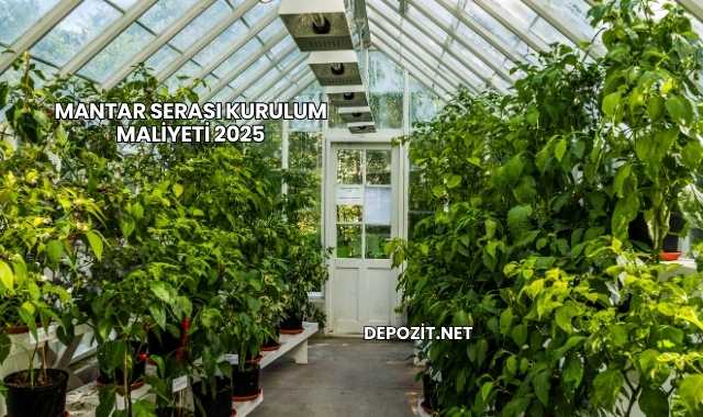 Mantar Serası Kurulum Maliyeti 2025