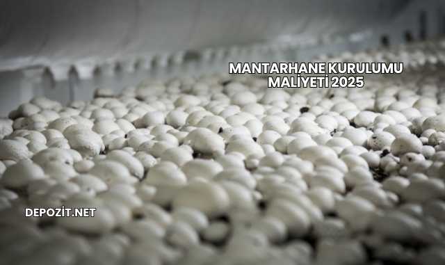 Mantarhane Kurulumu Maliyeti 2025