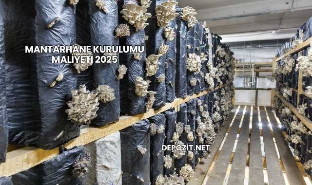 Mantarhane Kurulumu Maliyeti 2025