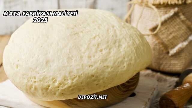 Maya Fabrikası Maliyeti 2025