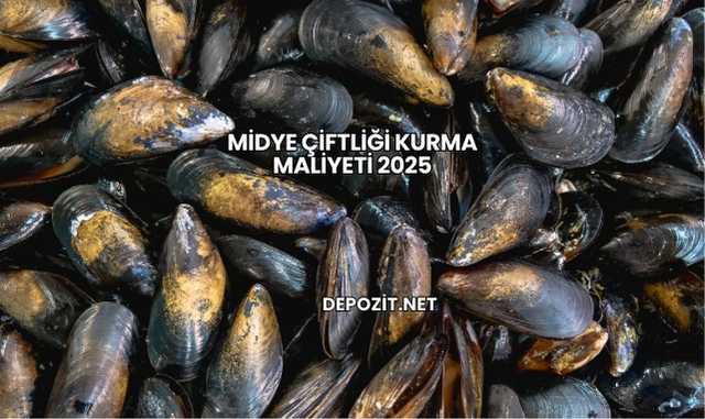 Midye Çiftliği Kurma Maliyeti 2025