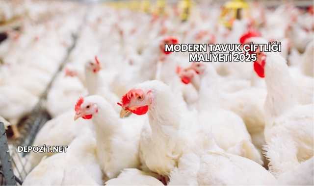 Modern Tavuk Çiftliği Maliyeti 2025
