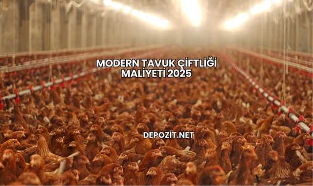 Modern Tavuk Çiftliği Maliyeti 2025