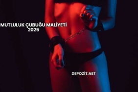 Mutluluk Çubuğu Maliyeti 2025