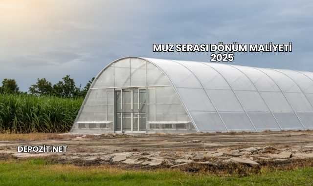 Muz Serası Dönüm Maliyeti 2025
