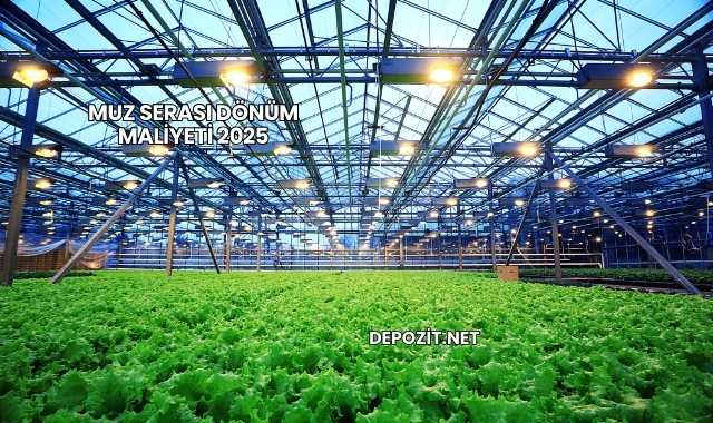 Muz Serası Dönüm Maliyeti 2025