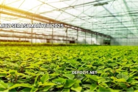 Muz Serası Maliyeti 2025