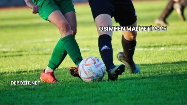 Osimhen Maliyeti 2025