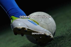 Osimhen Maliyeti 2025