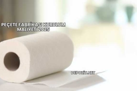 Peçete Fabrikası Kurulum Maliyeti 2025
