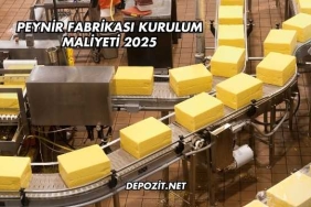 Peynir Fabrikası Kurulum Maliyeti 2025
