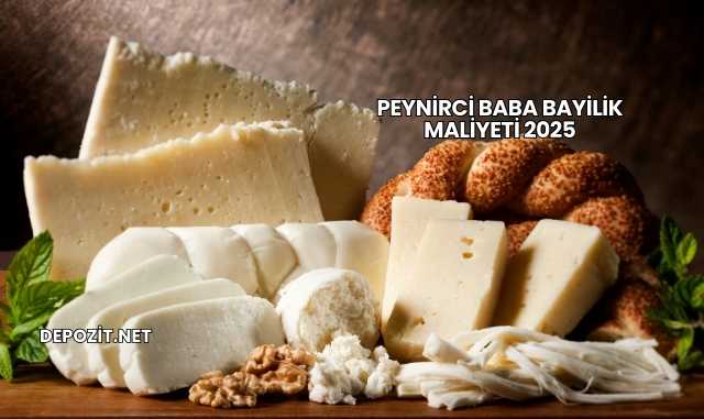 Peynirci Baba Bayilik Maliyeti 2025