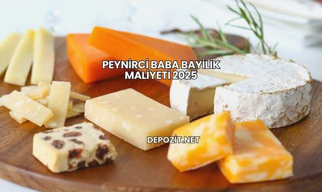 Peynirci Baba Bayilik Maliyeti 2025