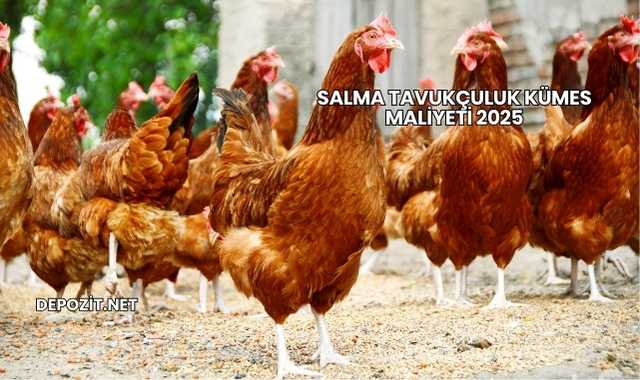 Salma Tavukçuluk Kümes Maliyeti 2025