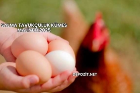 Salma Tavukçuluk Kümes Maliyeti 2025