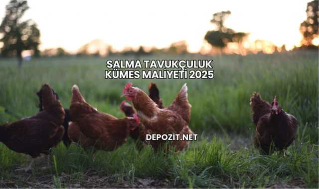 Salma Tavukçuluk Kümes Maliyeti 2025