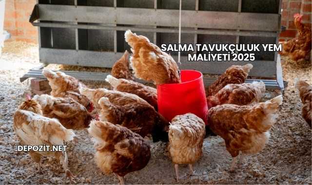 Salma Tavukçuluk Yem Maliyeti 2025