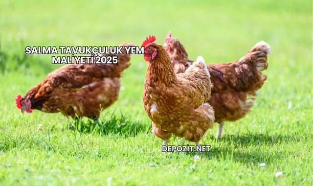 Salma Tavukçuluk Yem Maliyeti 2025