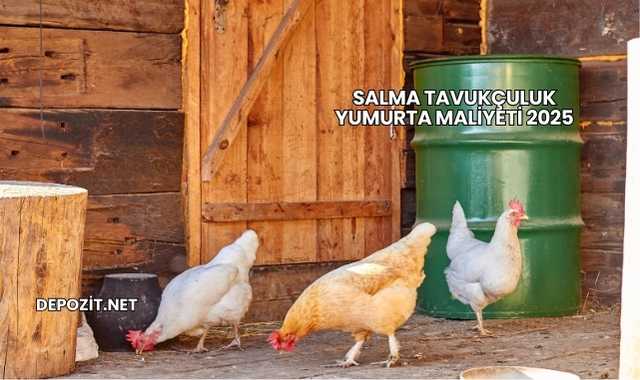 Salma Tavukçuluk Yumurta Maliyeti 2025