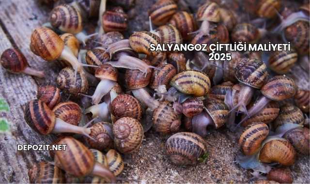 Salyangoz Çiftliği Maliyeti 2025