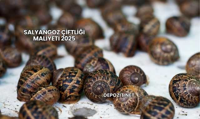 Salyangoz Çiftliği Maliyeti 2025