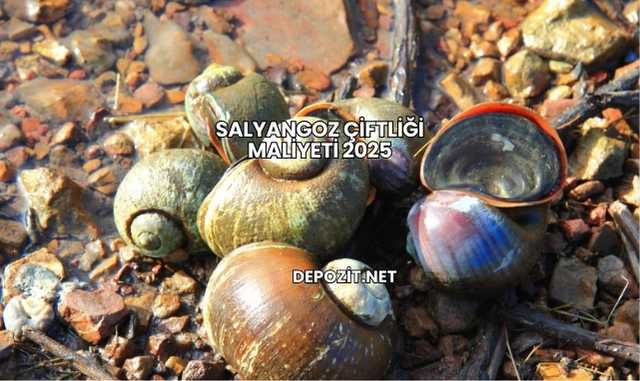 Salyangoz Çiftliği Maliyeti 2025