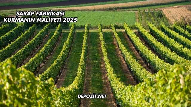 Şarap Fabrikası Kurmanın Maliyeti 2025