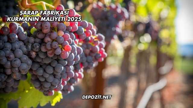 Şarap Fabrikası Kurmanın Maliyeti 2025