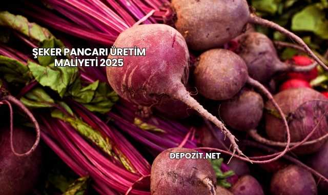 Şeker Pancarı Üretim Maliyeti 2025