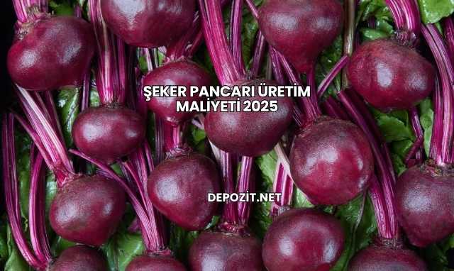 Şeker Pancarı Üretim Maliyeti 2025