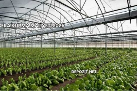 Sera Kurma Maliyeti 2025