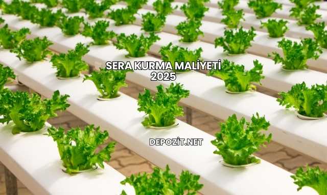 Sera Kurma Maliyeti 2025