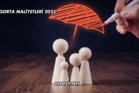 Sigorta Maliyetleri 2025