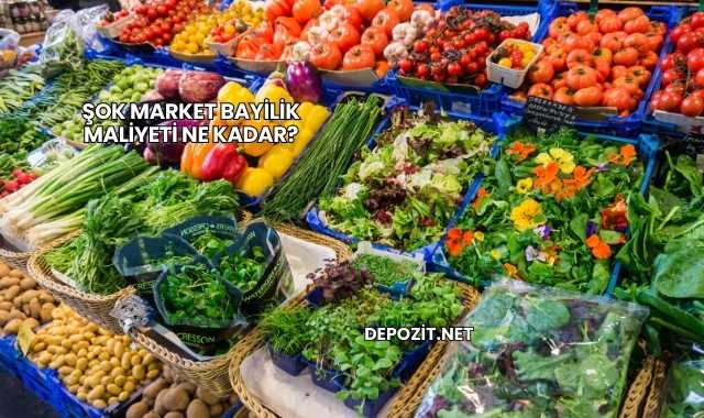 Şok Market Bayilik Maliyeti Ne Kadar?