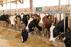 Süt Üretim Çiftliği Maliyeti 2025