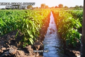 Tarımsal Sulama Havuzu Maliyeti 2025