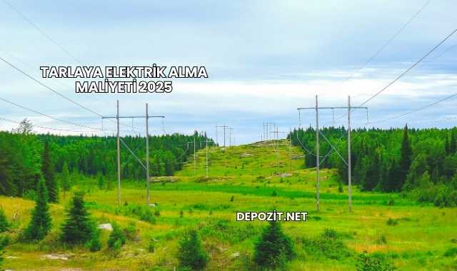 Tarlaya Elektrik Alma Maliyeti 2025
