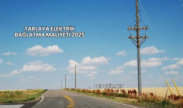 Tarlaya Elektrik Bağlatma Maliyeti 2025