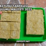 Taşyünü Fabrikası Kurulumu Maliyeti 2025