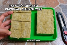 Taşyünü Fabrikası Kurulumu Maliyeti 2025
